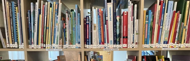 Viele unterschiedliche Bücher stehen in einem Regal.