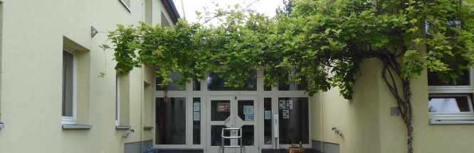 Eine Große Eingangstür ist zu sehen, über welcher eine Kiwipflanze rankt. 