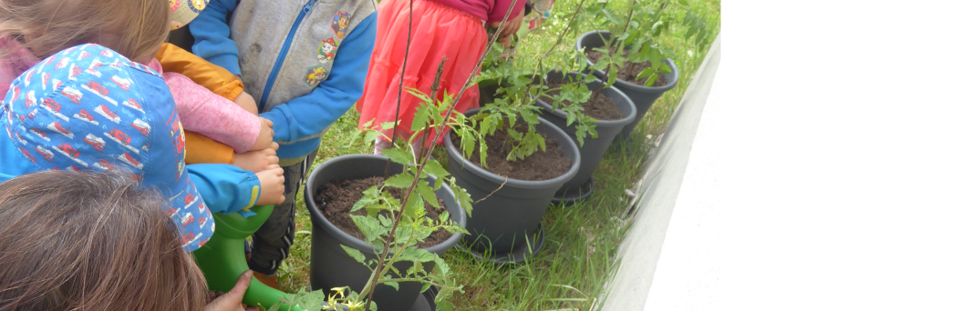 Kinder gießen mit einer Gießkanne Tomatenpflanzen