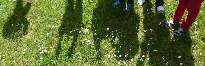 Schatten von Kindern auf einer grünen Wiese. 