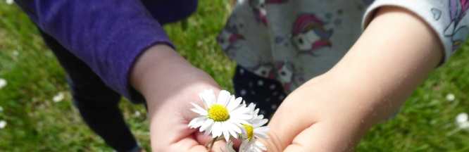 blumen in Kinderhänden