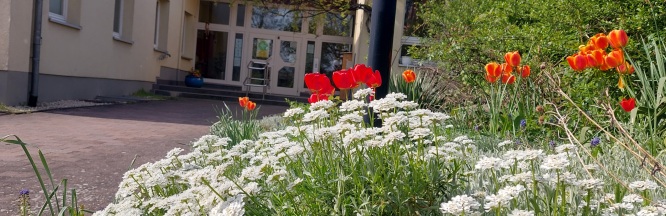 Oberer Eingang mit Blumen im Vordergrund
